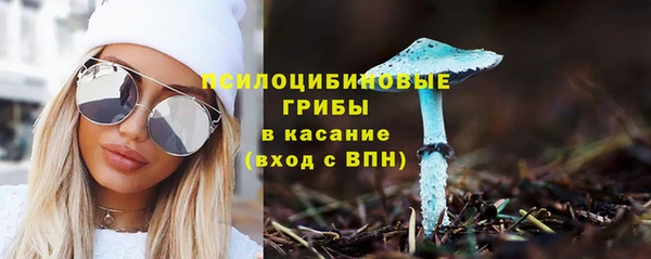 гашик Аркадак