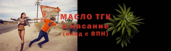 гашик Аркадак
