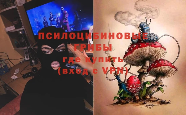 бошки Армянск