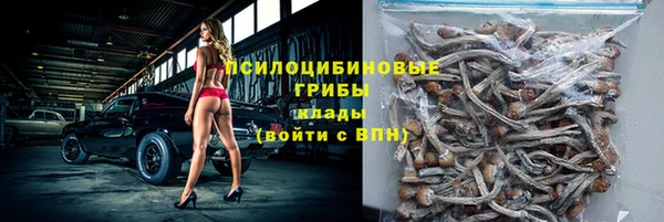 гашик Аркадак